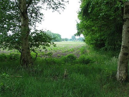 Doorkijkje naar het land