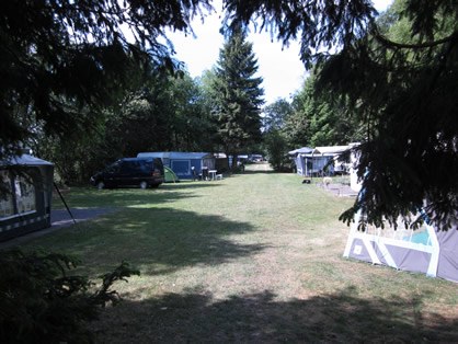 Caravans op een grasveld onder hoge bomen op Camping De Tol