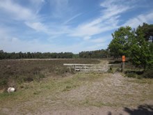 De heide van het Dwingelderveld